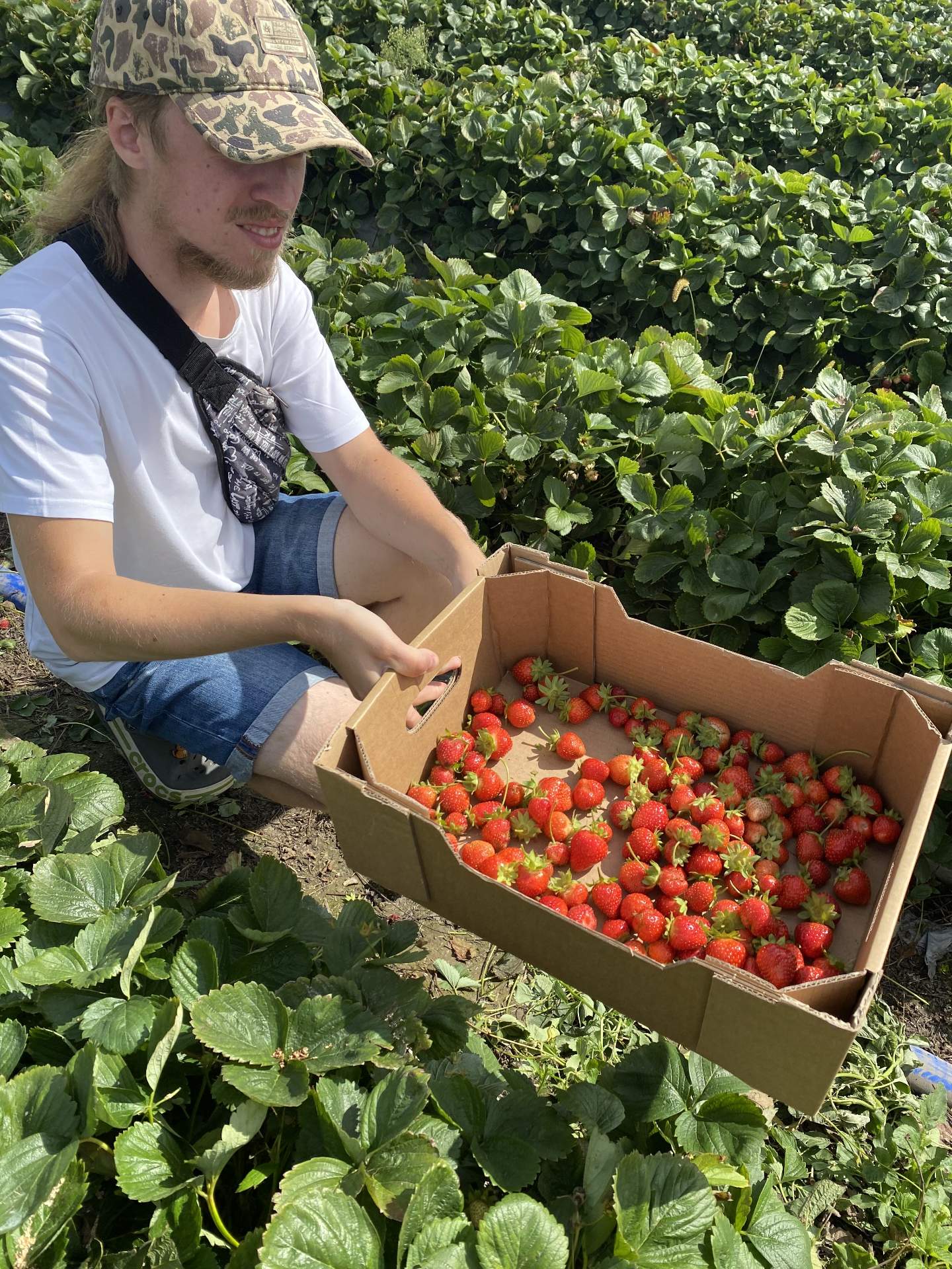 Vladyslav Shapovalov